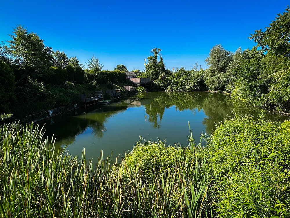 Ein kleiner, ruhiger Teich, umgeben von dichter grüner Vegetation und Bäumen unter einem klaren blauen Himmel. Am anderen Ufer ist eine Holzkonstruktion zu sehen.